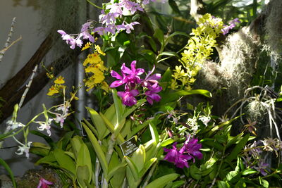 DSC_0231.JPG