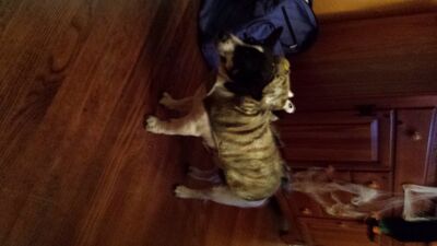 20131026_181339.jpg