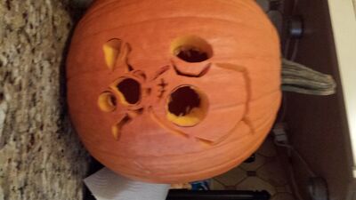 20131031_133609.jpg