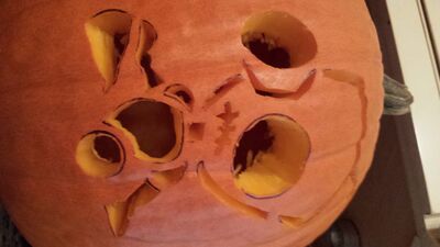 20131031_133657.jpg