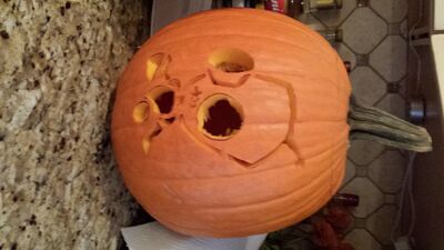 20131031_133722.jpg