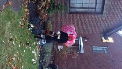 20131031_181832.jpg