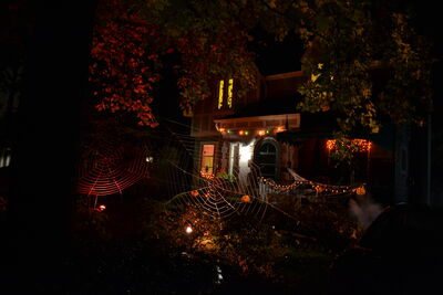 DSC_0154.JPG