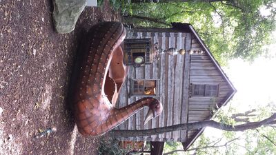20130908_154247.jpg
