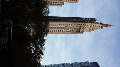 20131114_155345.jpg