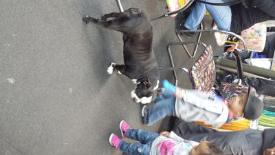 20131116_130754.jpg