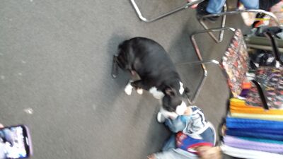 20131116_130804.jpg