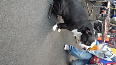 20131116_130805.jpg