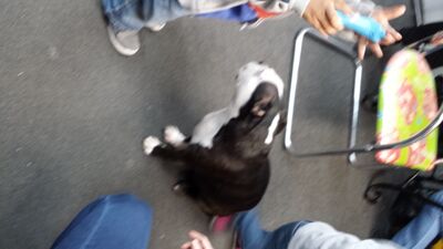 20131116_130827.jpg
