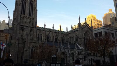 20131116_160817.jpg