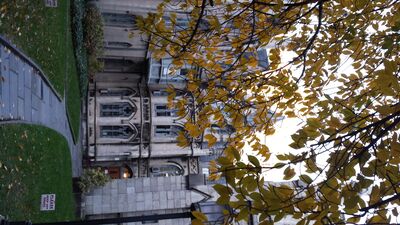 20131116_160948.jpg