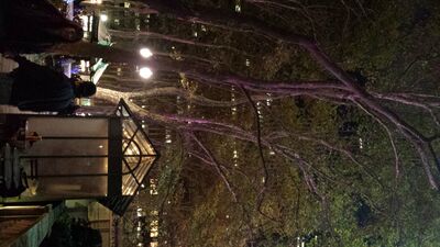 20131116_183831.jpg