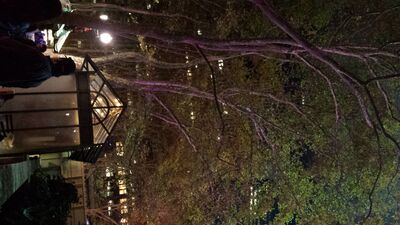 20131116_183842.jpg