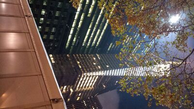 20131116_183851.jpg