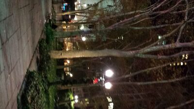 20131116_183859.jpg