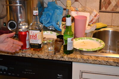 DSC_0165.JPG