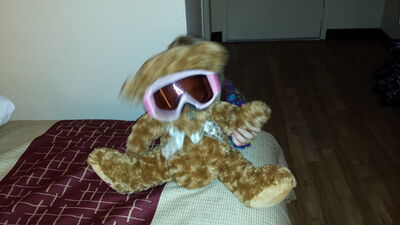 20140111_224152.jpg