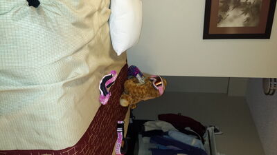 20140111_224208.jpg