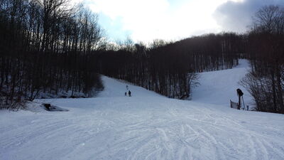 20140117_141900.jpg