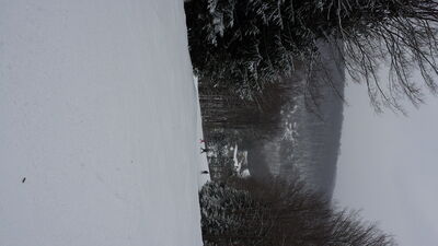 20140118_155813.jpg