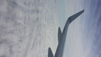 20140203_162812.jpg