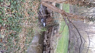 20140423_185937.jpg