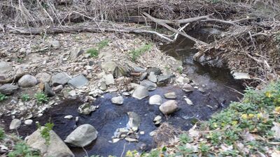 20140423_190237.jpg
