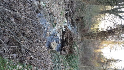20140423_190404.jpg