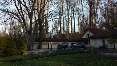 20140423_190547.jpg