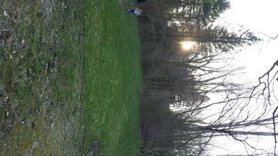 20140423_190559.jpg