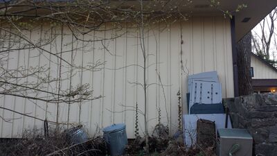 20140423_190803.jpg