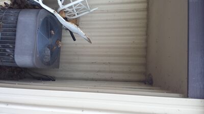 20140423_190939.jpg