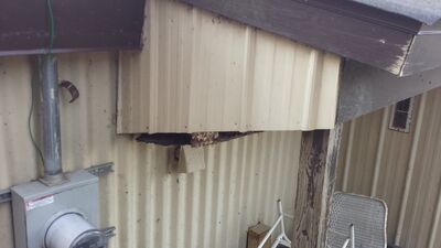 20140423_190954.jpg