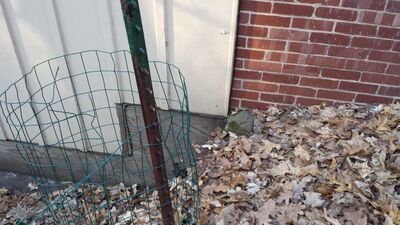20140423_191314.jpg