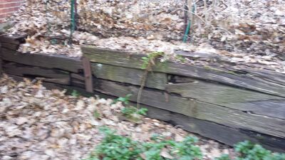 20140423_191344.jpg