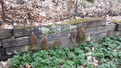 20140423_191349.jpg