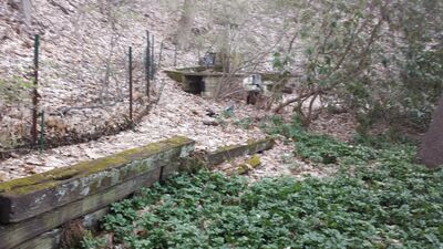 20140423_191353.jpg