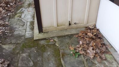 20140423_191424.jpg