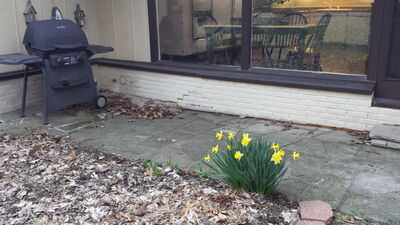20140423_191504.jpg