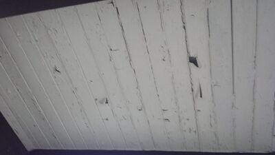 20140423_191609.jpg