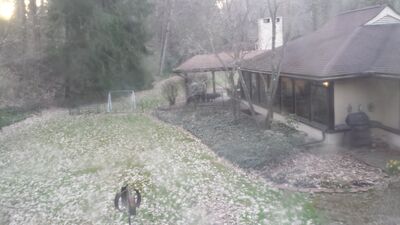20140423_193441.jpg