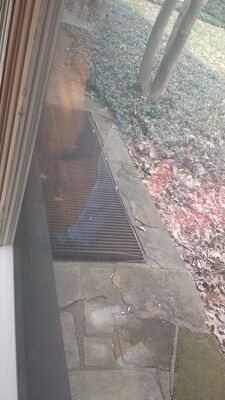 20140423_193950.jpg