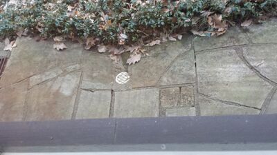 20140423_194008.jpg