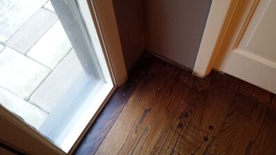20140423_194218.jpg
