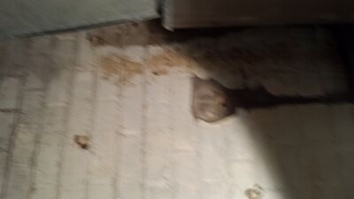 20140423_194543.jpg