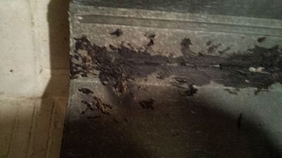 20140423_194556.jpg