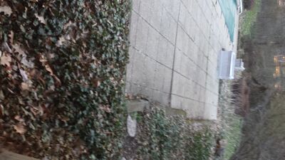 20140423_195931.jpg
