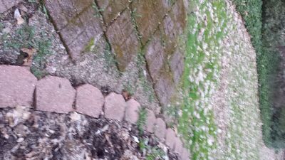 20140423_200253.jpg