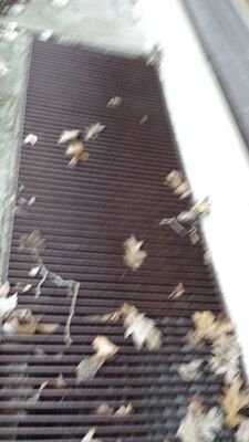 20140423_200310.jpg
