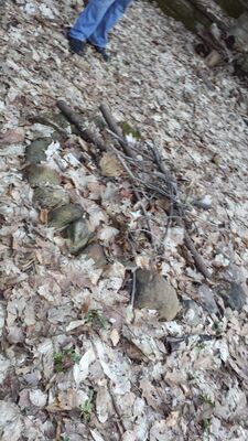 20140423_200424.jpg